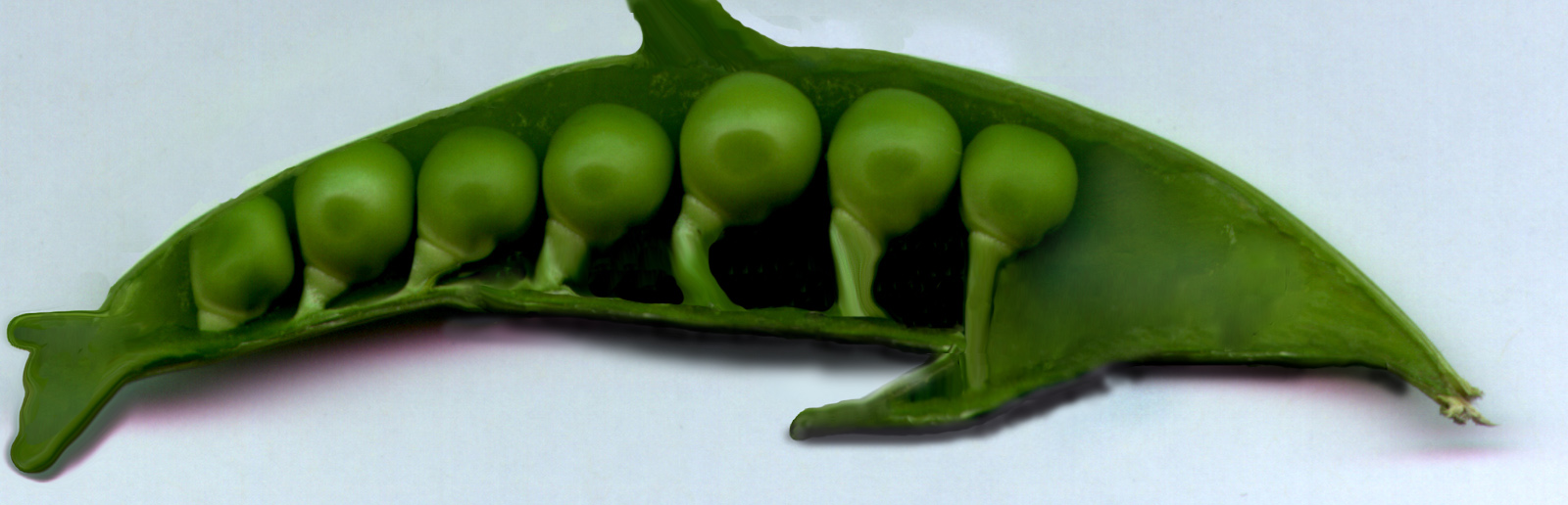 Photoshop Design by hermessz for DesignCrowd (Community Contests) | Design #9105383