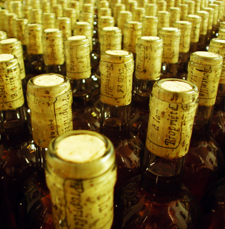 Photography by Anabole for DesignCrowd (Community Contests) | Design #9107299