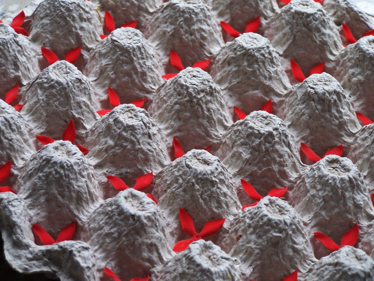 Fotografía por vgmn1956 para DesignCrowd (Community Contests) | Diseño #9107208