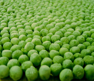 Photography by shermanio for DesignCrowd (Community Contests) | Design #9107265