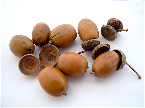 Photographie par FastLane pour DesignCrowd (Community Contests) | Design #9084204