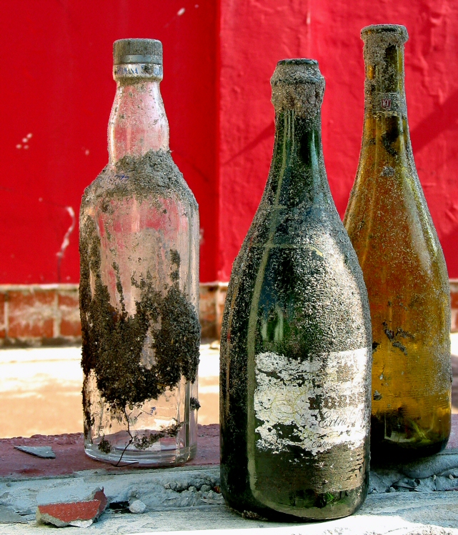 Photography by koalachimbo for DesignCrowd (Community Contests) | Design #9084216