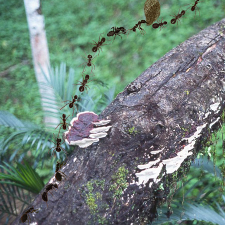 Photoshop Design by Design UnStudio for DesignCrowd (Community Contests) | Design #9110291