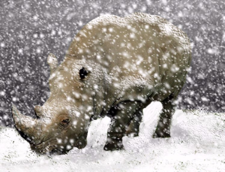 Photoshop-Design von shy_scientist für DesignCrowd (Community Contests) | Design #9109272