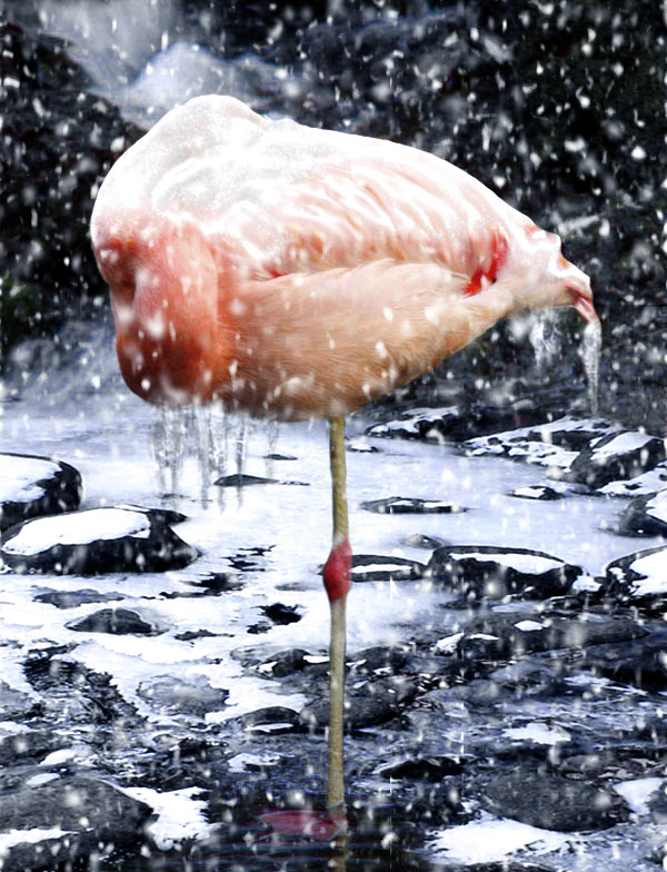 Photoshop-Design von saufnase für DesignCrowd (Community Contests) | Design #9109317