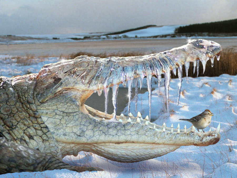 Photoshop-Design von hotweaselsoup für DesignCrowd (Community Contests) | Design #9109357