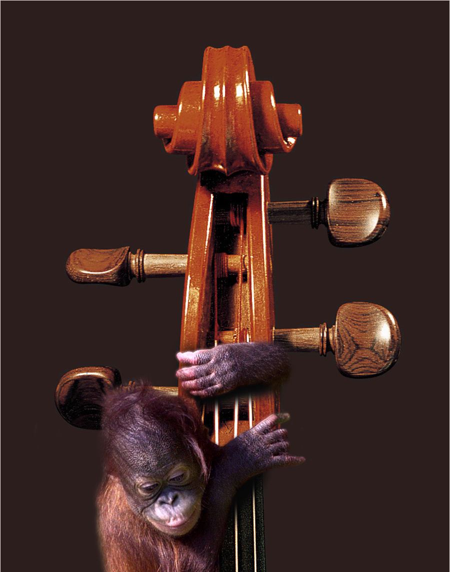 Diseño de Photoshop por Tifke68 para DesignCrowd (Community Contests) | Diseño #9109504