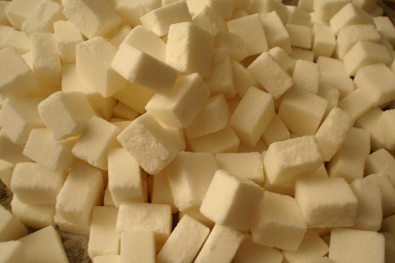 Photography by whitewhale for DesignCrowd (Community Contests) | Design #9107366