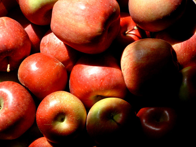 Photography by Terrence for DesignCrowd (Community Contests) | Design #9107348