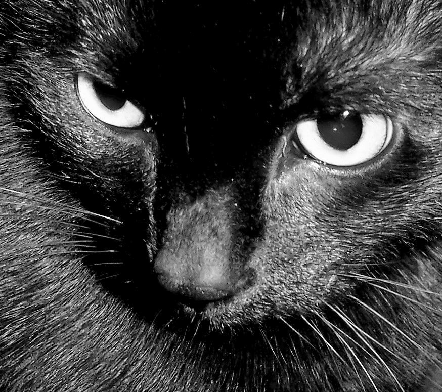 Photography by KCBroadway for DesignCrowd (Community Contests) | Design #9108664