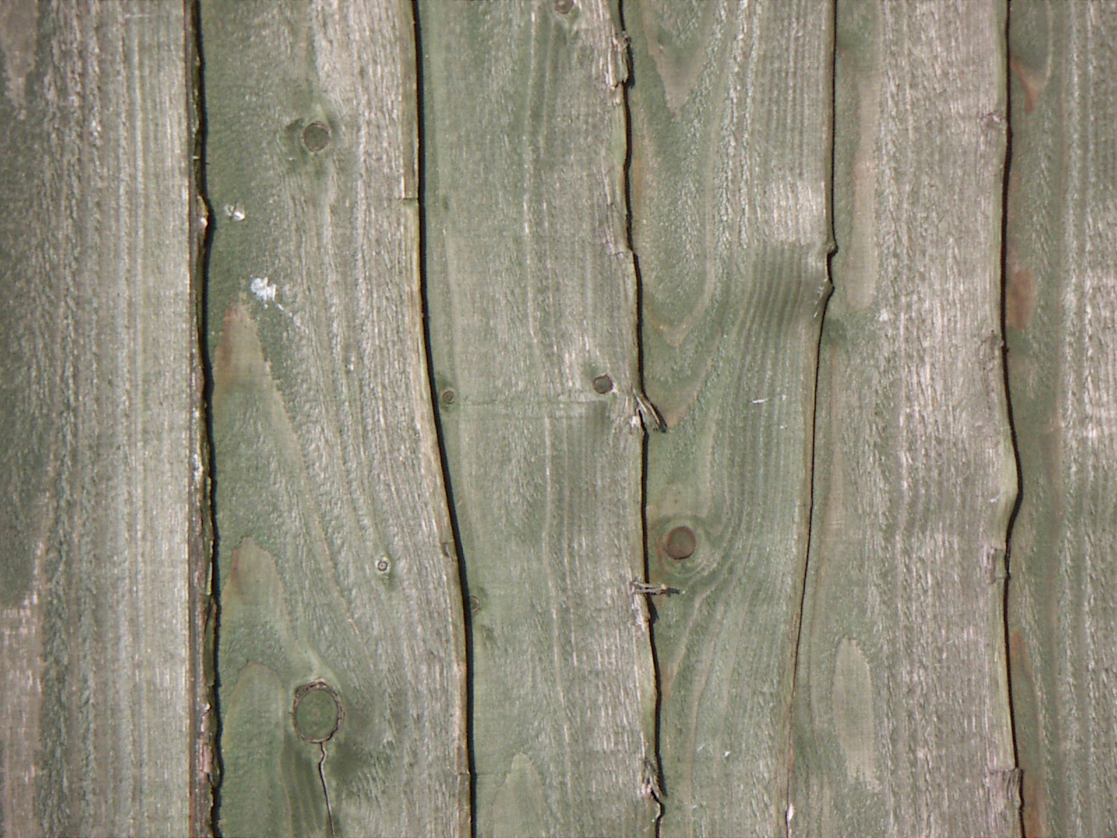 Fotografía por newmatt para DesignCrowd (Community Contests) | Diseño #9105444