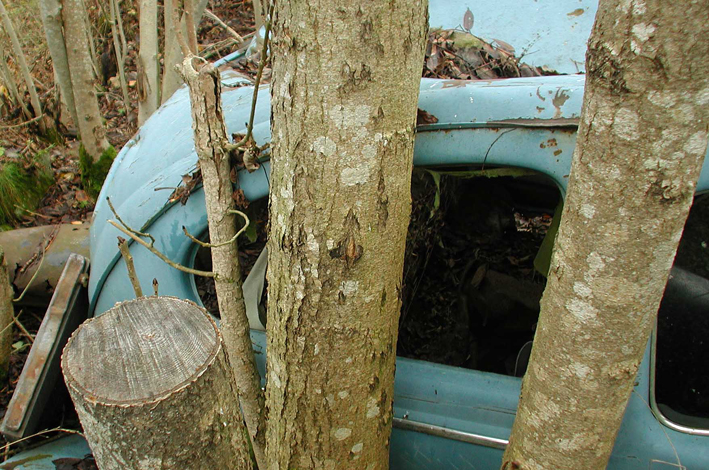 Photographie par Anabole pour DesignCrowd (Community Contests) | Design #9109417