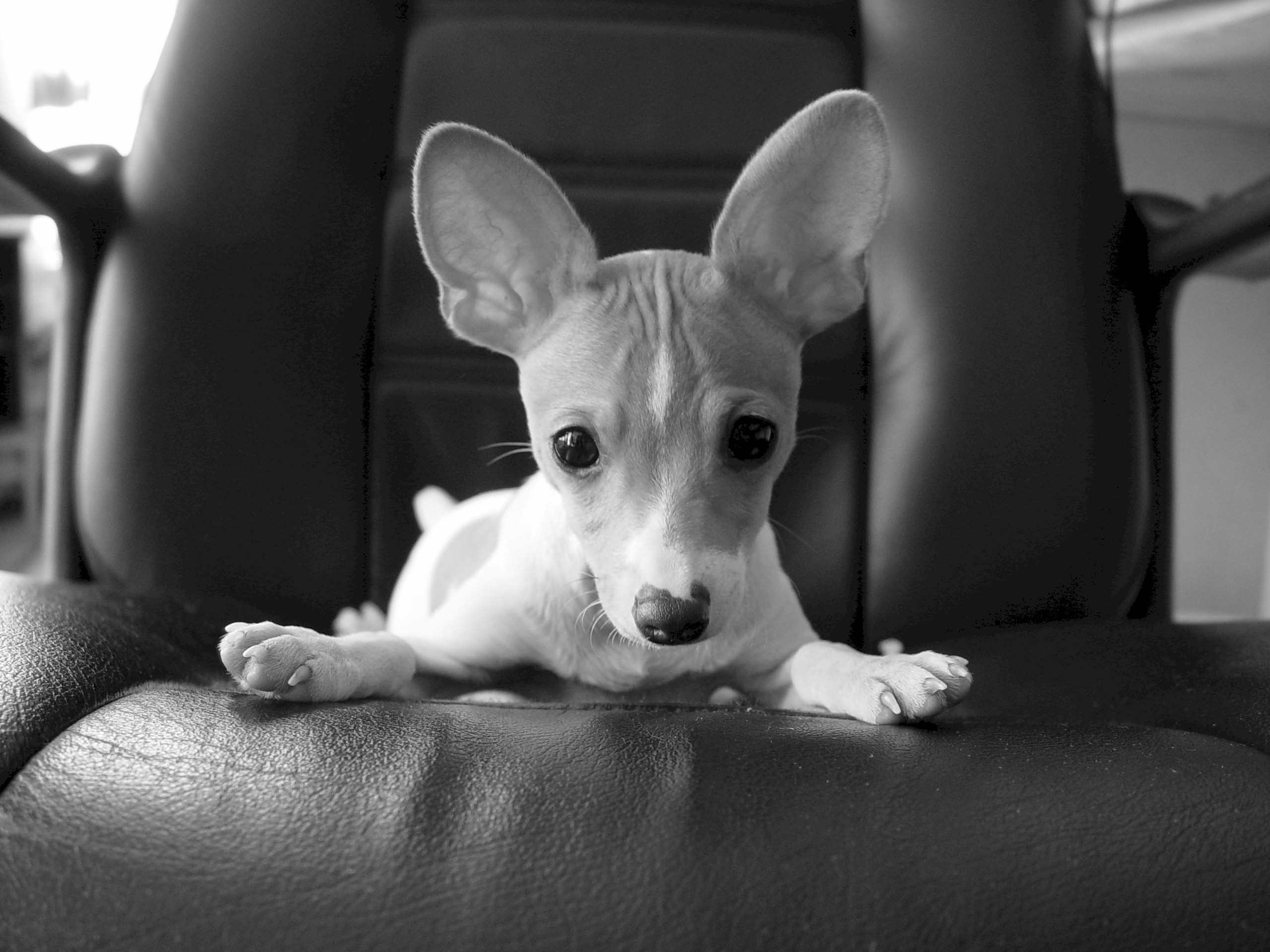 Photography by GIGGLECAM for DesignCrowd (Community Contests) | Design #9098911