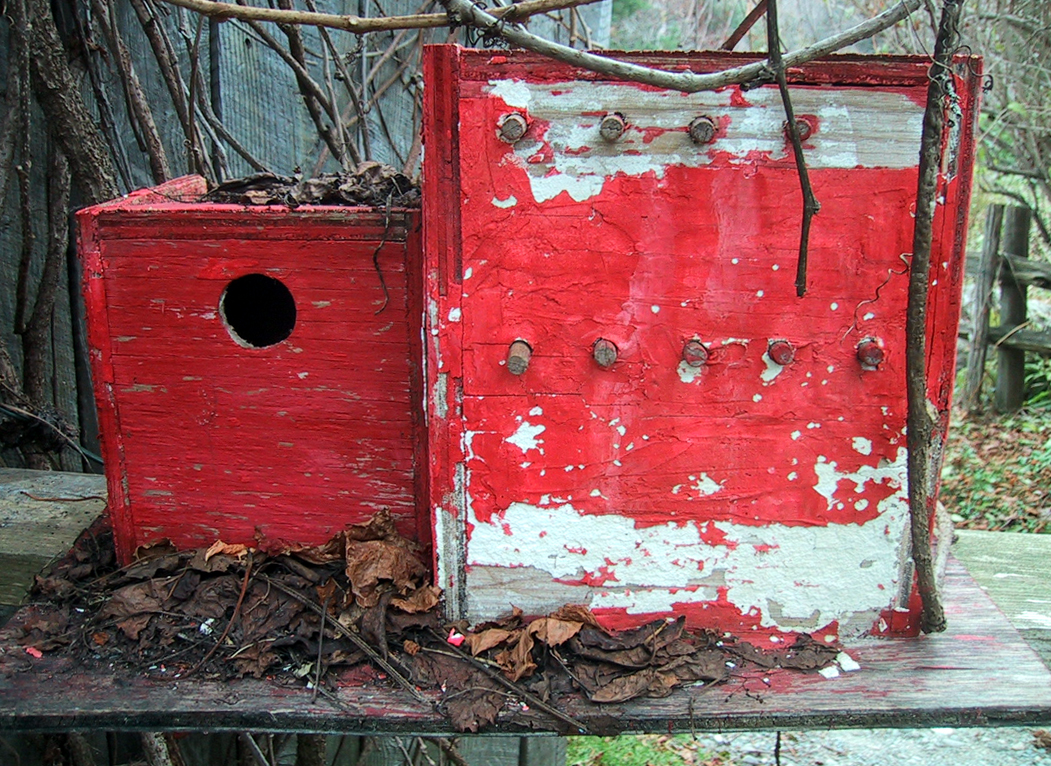 Fotografía por brunewz para DesignCrowd (Community Contests) | Diseño #9109421