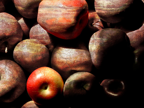 Diseño de Photoshop por Terrence para DesignCrowd (Community Contests) | Diseño #9105964