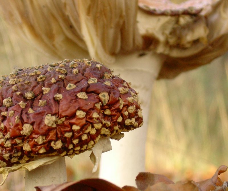 Photography by sleepless for DesignCrowd (Community Contests) | Design #9105453