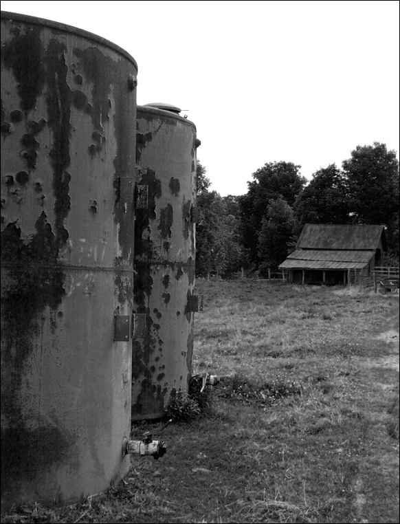 Photography by orrielflies for DesignCrowd (Community Contests) | Design #9109430