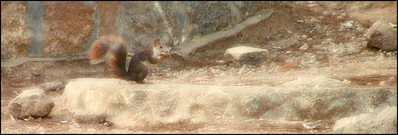 Fotografía por MilaCroft para DesignCrowd (Community Contests) | Diseño #9098961