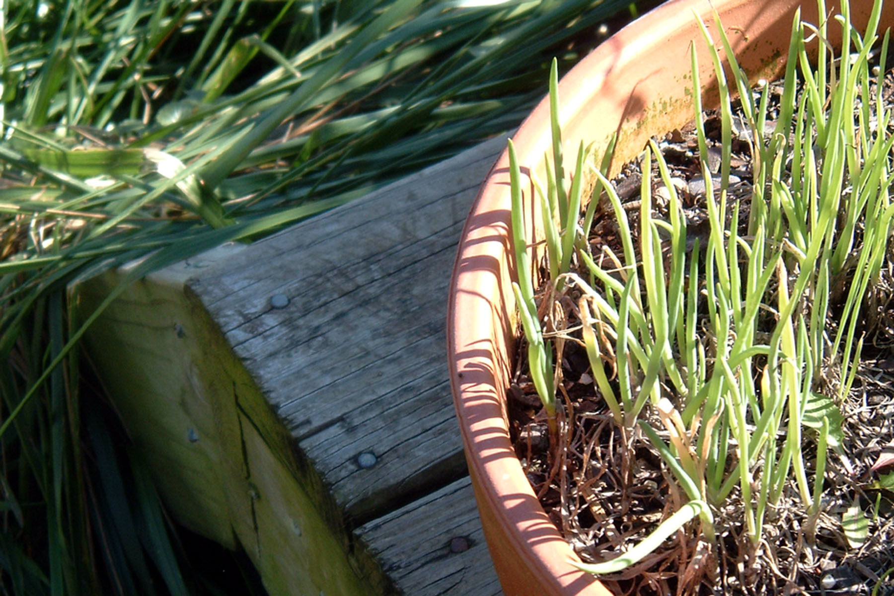 Photography by RickF413 for DesignCrowd (Community Contests) | Design #9105558