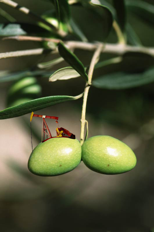 Photoshop Design by esterhazy for DesignCrowd (Community Contests) | Design #9081850