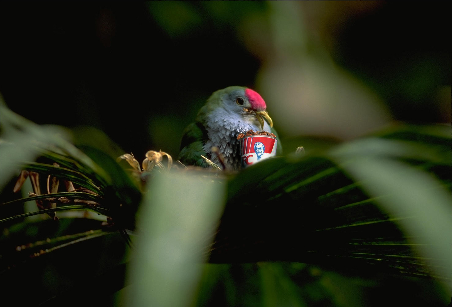 Design Photoshop par setsfire pour DesignCrowd (Community Contests) | Design #9081873