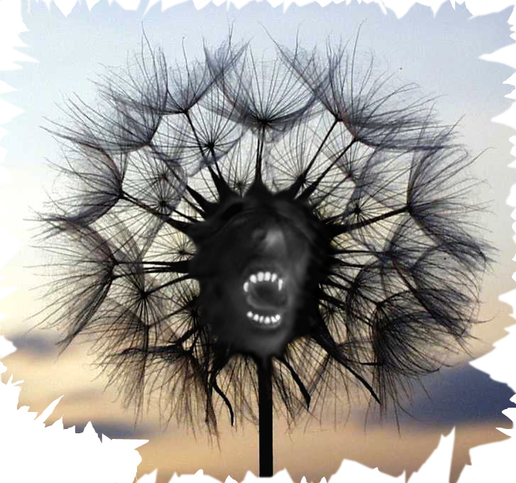 Photoshop Design by Tonebarge for DesignCrowd (Community Contests) | Design #9106155