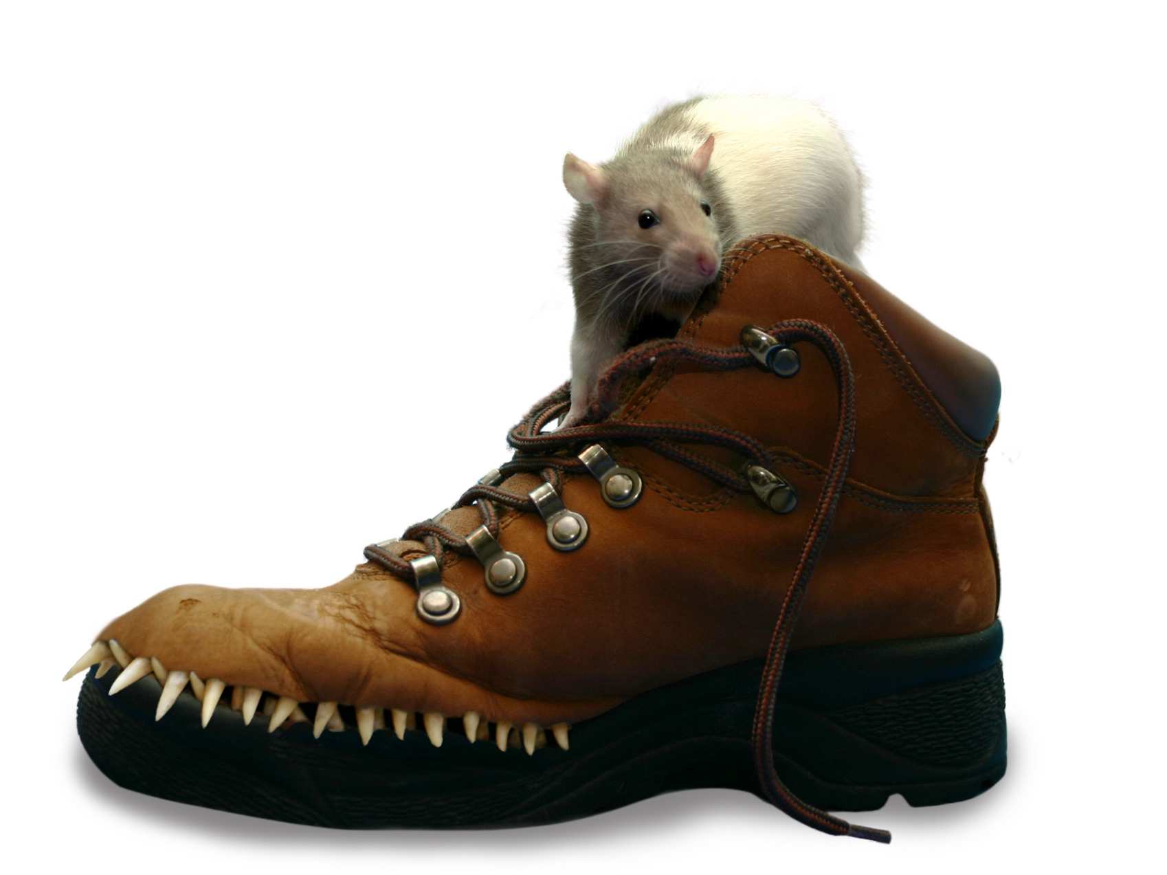 Photoshop Design by kvdveer for DesignCrowd (Community Contests) | Design #9106073