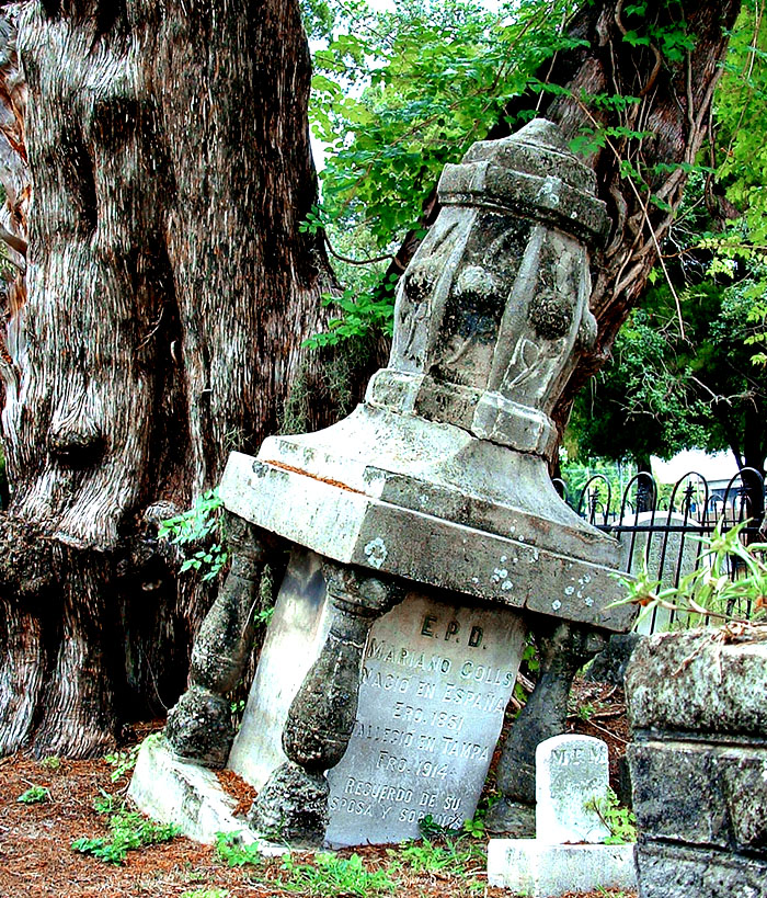 Fotografía por TampaDroid para DesignCrowd (Community Contests) | Diseño #9109502