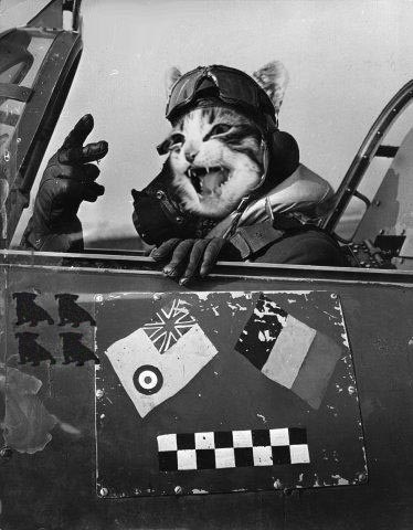 Photoshop Design by Tedmus for DesignCrowd (Community Contests) | Design #9103654