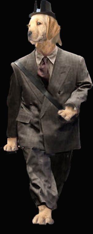 Photoshop Design by ayeshid for DesignCrowd (Community Contests) | Design #9103704