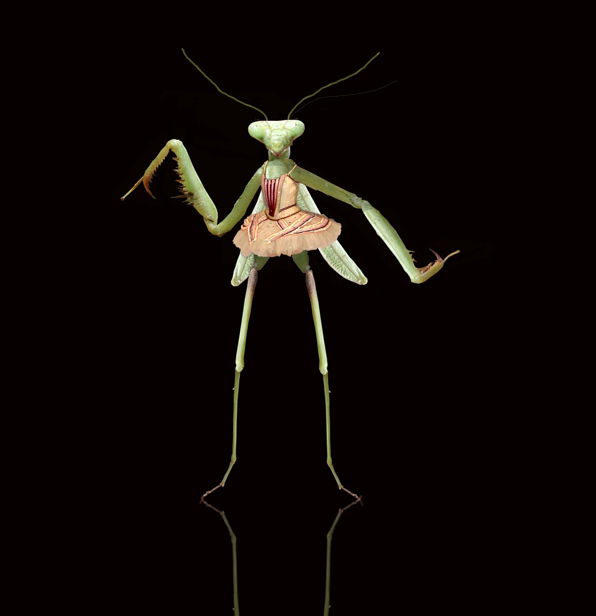 Photoshop Design by edjit21 for DesignCrowd (Community Contests) | Design #9103826