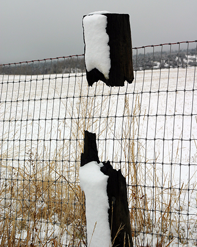 Photography by donnaleigh for DesignCrowd (Community Contests) | Design #9109673
