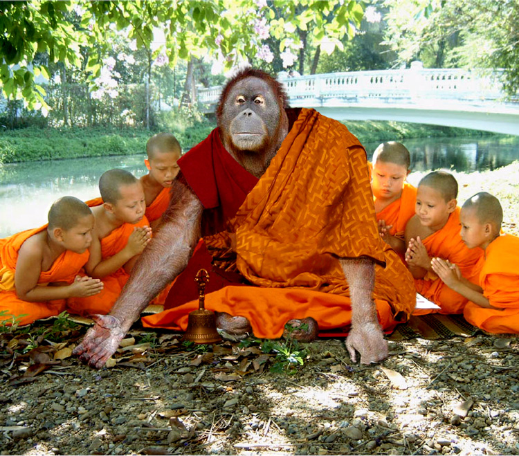 Photoshop Design by Redbull_UK for DesignCrowd (Community Contests) | Design #9103706