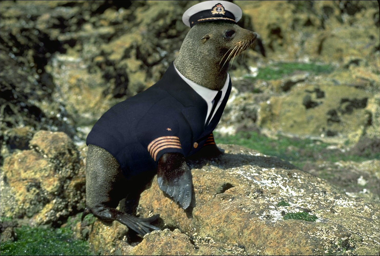 Photoshop Design by cyangaga for DesignCrowd (Community Contests) | Design #9103808