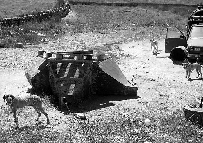 Photography by majd for DesignCrowd (Community Contests) | Design #9109600