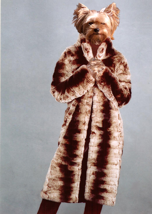 Design Photoshop par Scarlette pour DesignCrowd (Community Contests) | Design #9103711