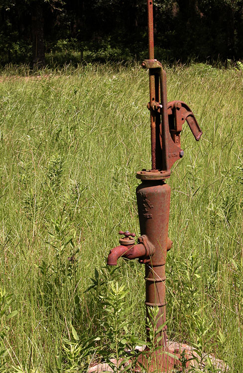 Photography by Jawizza for DesignCrowd (Community Contests) | Design #9109693