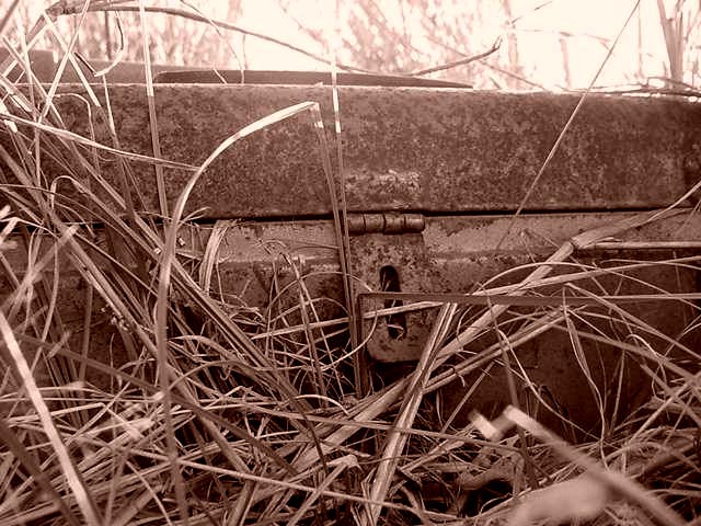 Photography by Ackley for DesignCrowd (Community Contests) | Design #9109720