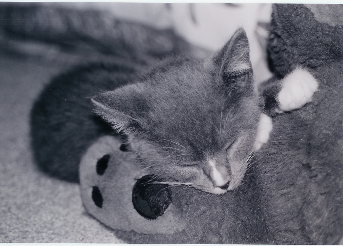 Photography by KCBroadway for DesignCrowd (Community Contests) | Design #9099051