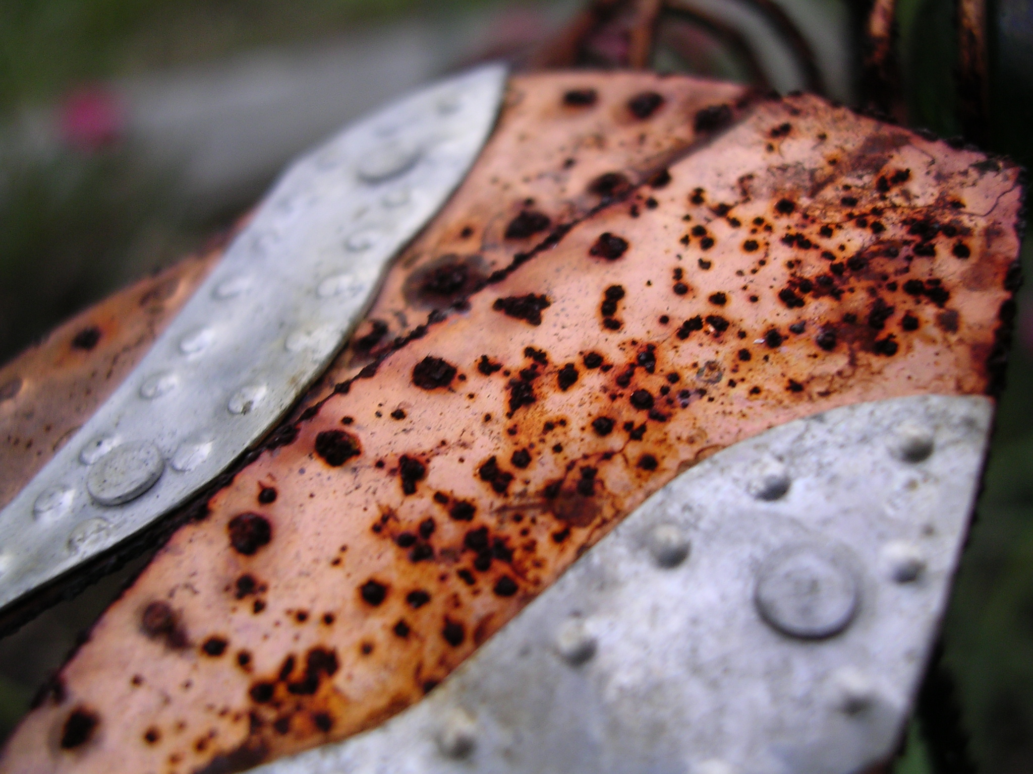 Photography by TBob57 for DesignCrowd (Community Contests) | Design #9109604