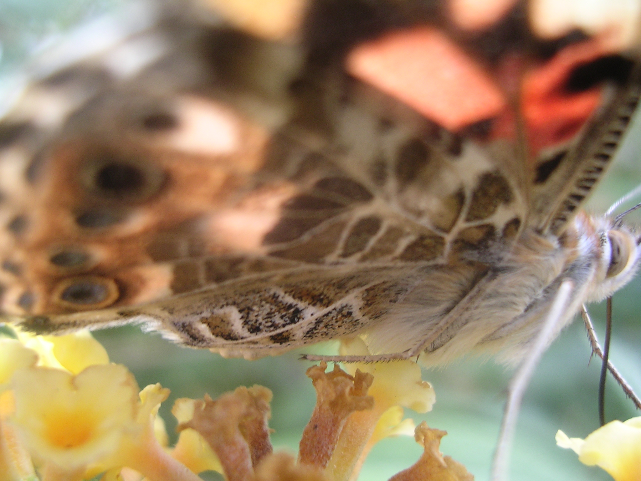 Photography by TBob57 for DesignCrowd (Community Contests) | Design #9105605