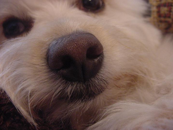 Photography by Ackley for DesignCrowd (Community Contests) | Design #9105675