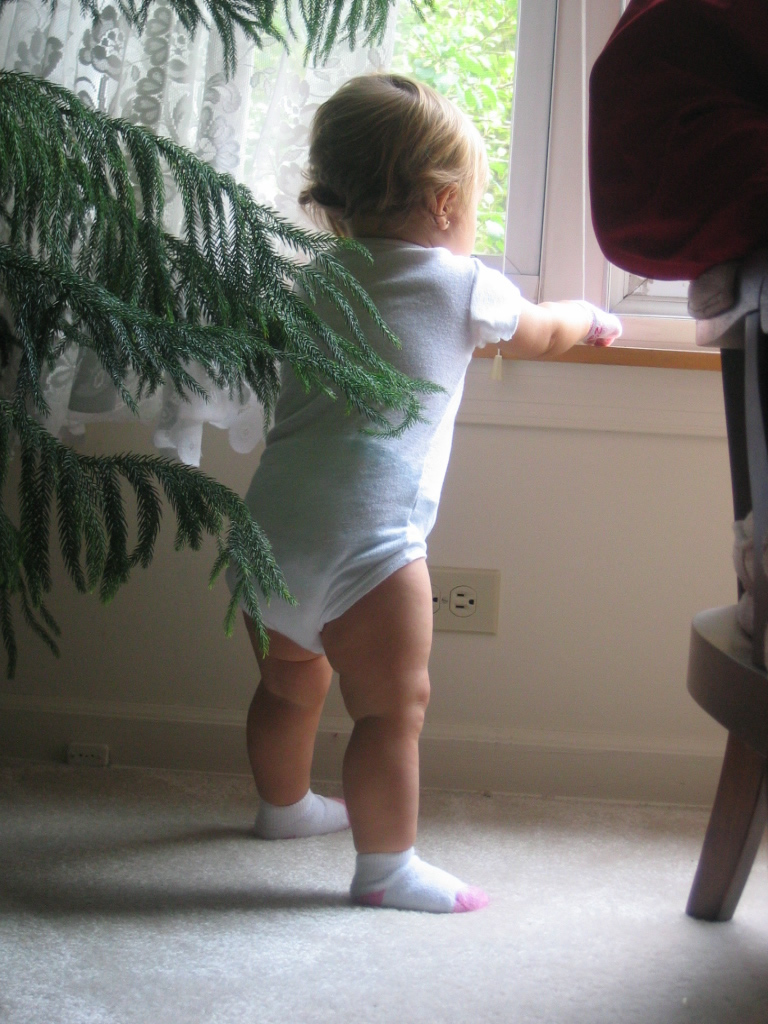 Photographie par xxblairxx pour DesignCrowd (Community Contests) | Design #9099029