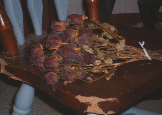 Fotografía por Flutterby para DesignCrowd (Community Contests) | Diseño #9109751