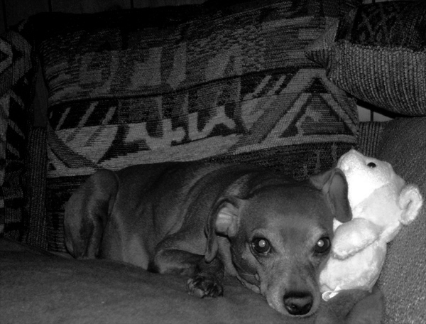 Photography by Jon Polley for DesignCrowd (Community Contests) | Design #9099028