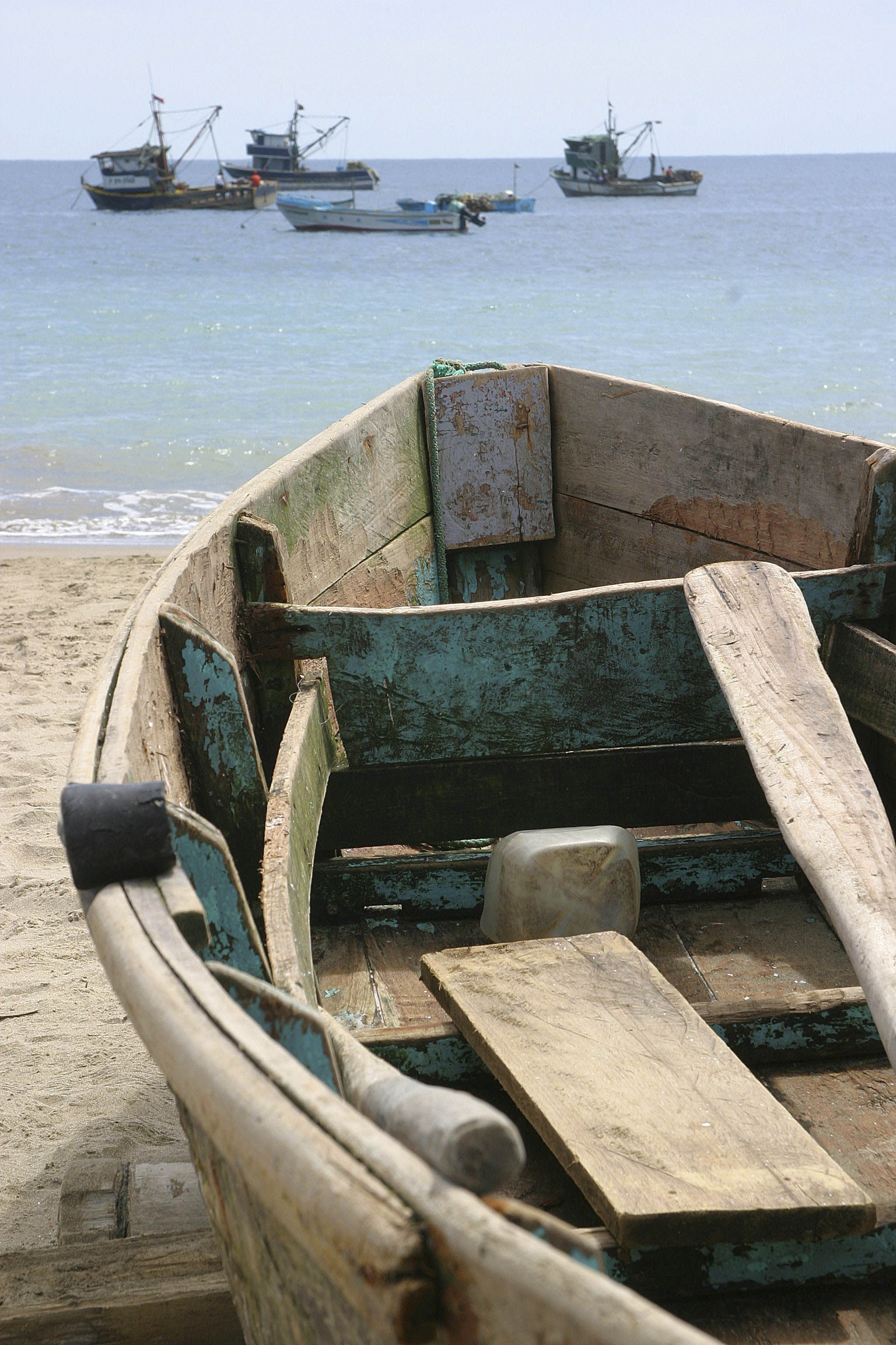 Photography by dedkennedy for DesignCrowd (Community Contests) | Design #9105603