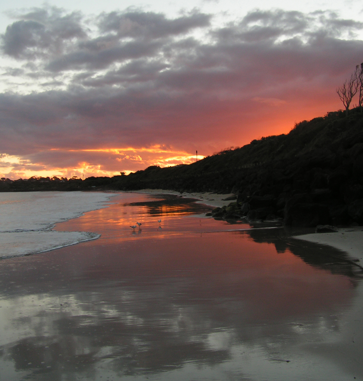 Fotografía por greenmachine para DesignCrowd (Community Contests) | Diseño #9106631