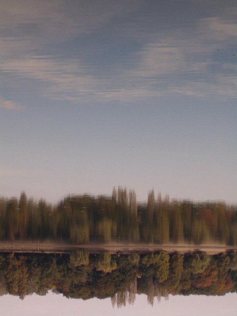 Photographie par AmaElia pour DesignCrowd (Community Contests) | Design #9106669