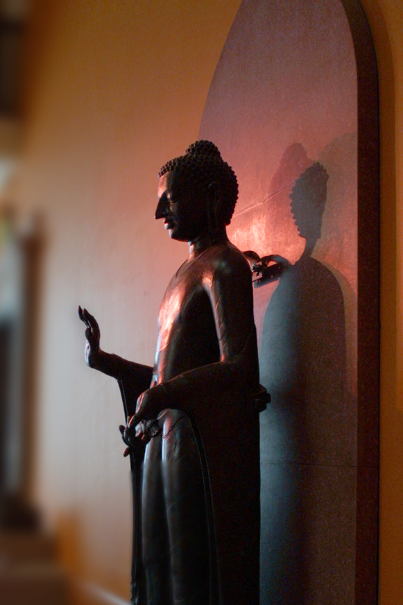 Fotografía por Maffoo para DesignCrowd (Community Contests) | Diseño #9106693