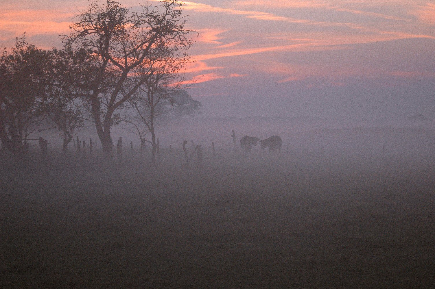 Fotografía por Marian para DesignCrowd (Community Contests) | Diseño #9106728